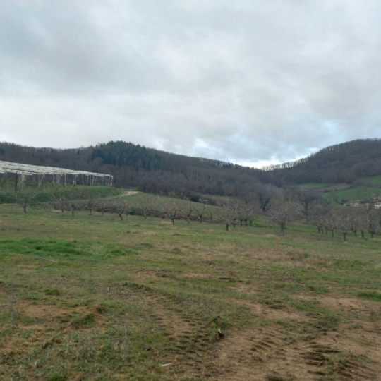  Actu'elles TRANSAC : Terrain | SAINT-ROMAIN-DE-POPEY (69490) | 0 m2 | 180 000 € 