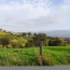  Actu'elles TRANSAC : Maison / Villa | BESSENAY (69690) | 200 m2 | 260 000 € 