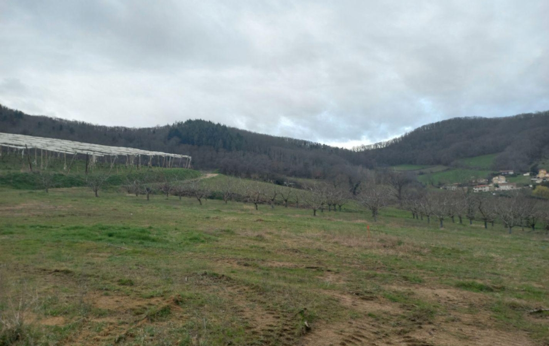 Actu'elles TRANSAC : Terrain | SAINT-ROMAIN-DE-POPEY (69490) | 0 m2 | 180 000 € 